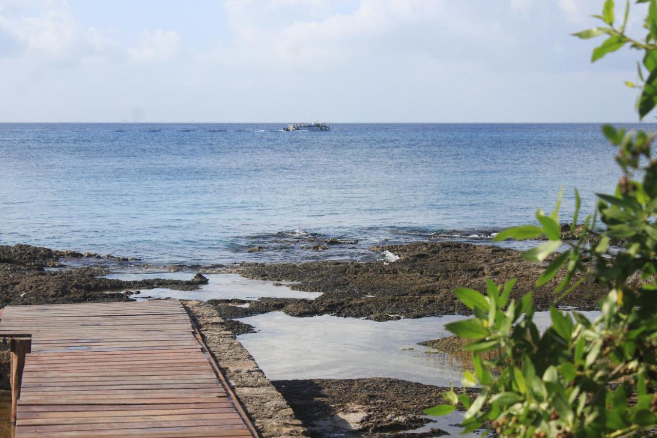 Villa Modern House of Cozumel - 28 -Amazing Sunset Views Exterior foto